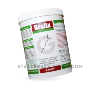 brafix